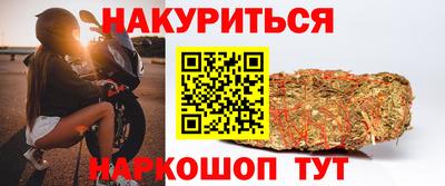 МДПВ Гатчина