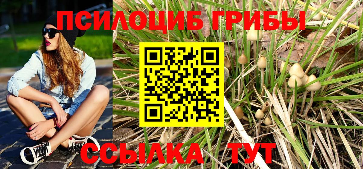 Жуковский  Галлюциногенные грибы Magic Shrooms  Вход с VPN  Псилоцибиновые грибы GOLDEN TEACHER 