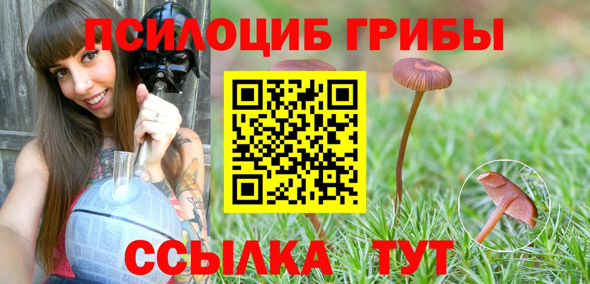 Галлюциногенные грибы Psilocybine cubensis Жуковский